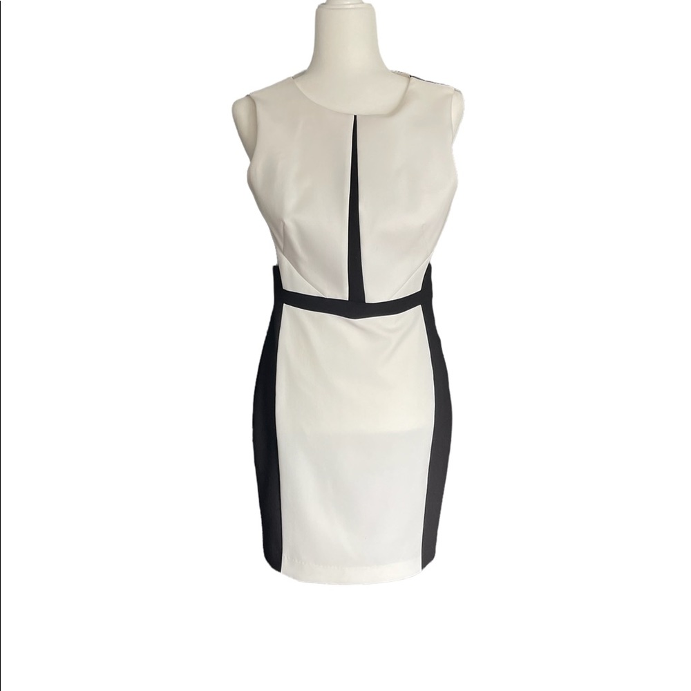 White House Black Market size 4 sleeveless classic dress worn once